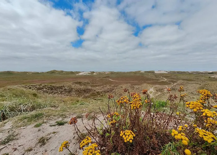 Cozy Dune Retreat-by Traum Holiday home Havrvig